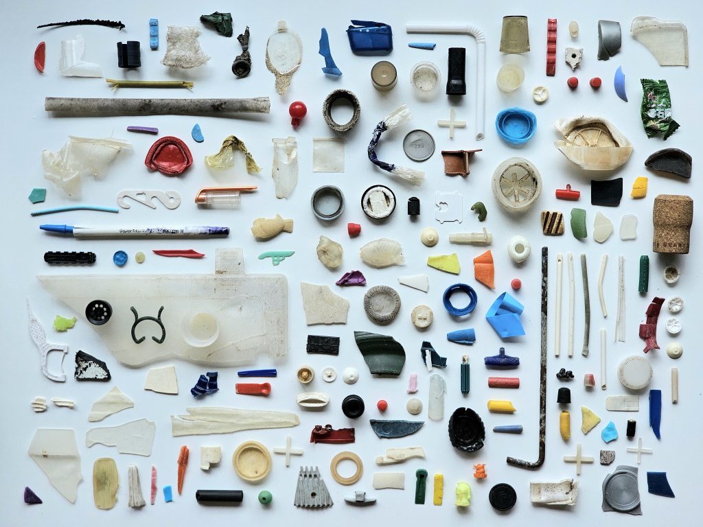 Plastic Collected from Sandringham Beach